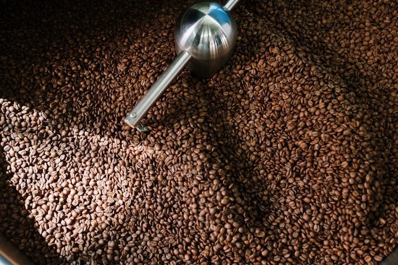 Green coffee beans transforming into roasted beans